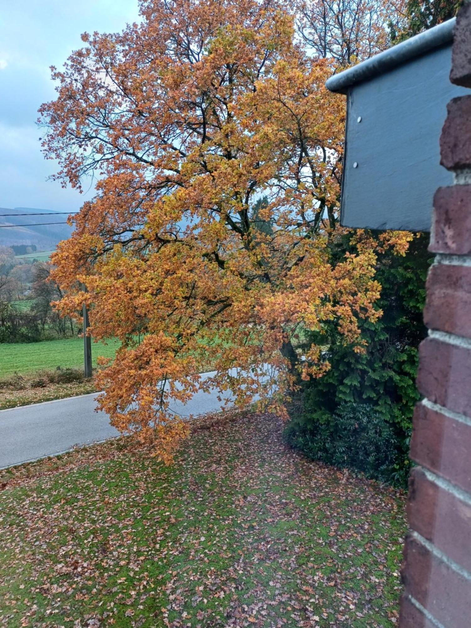 B&B Les Tcheous La Gleize Exterior foto